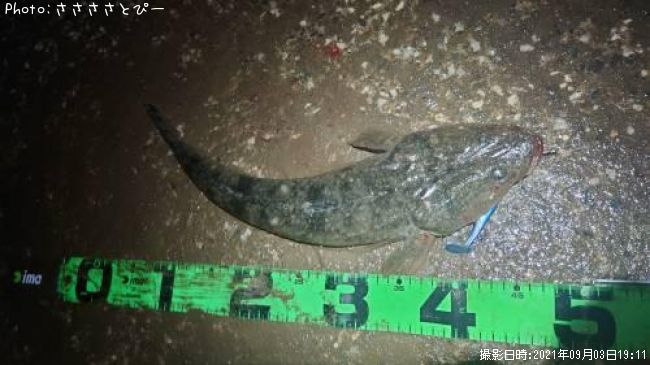 �ޥ��������ʤ�