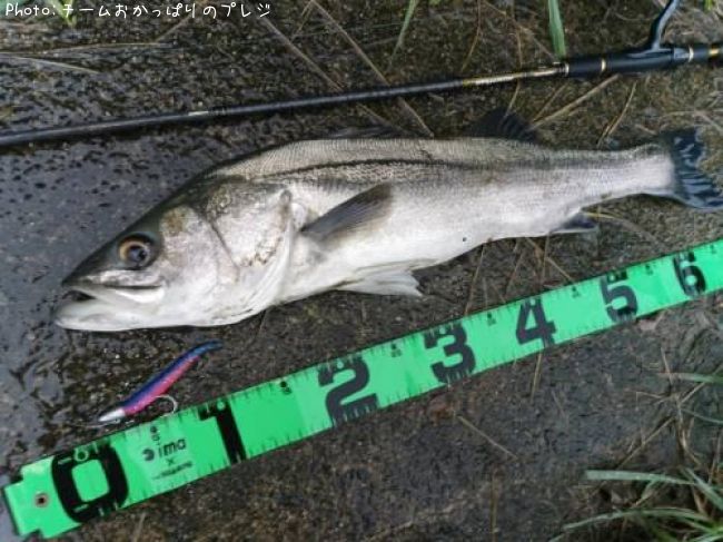 �����Х�