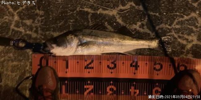 �����Х�