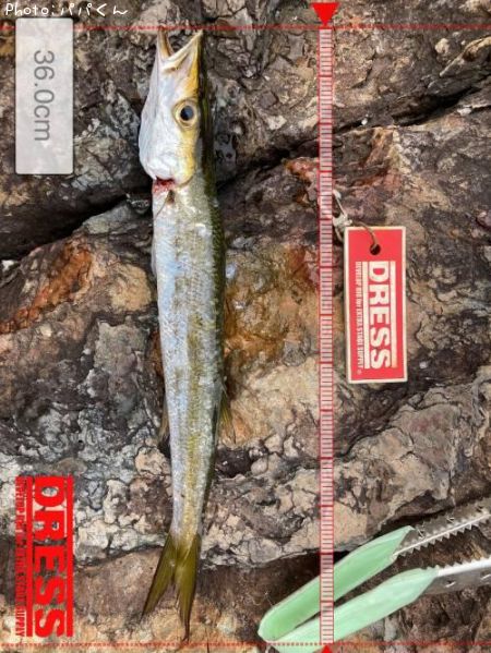 ������󥫥ޥ�