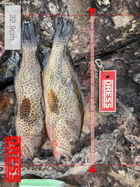 �������ϥ�