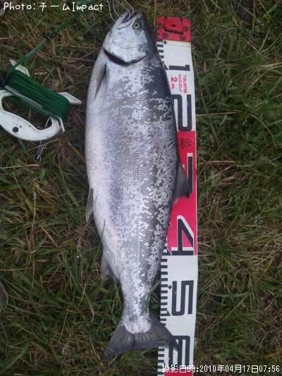 ������ޥ�