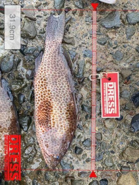 �������ϥ�