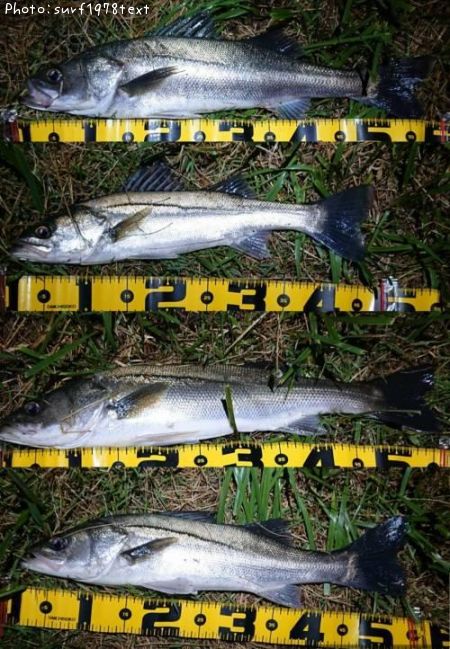 �����Х�