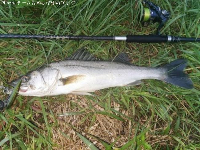 �����Х�