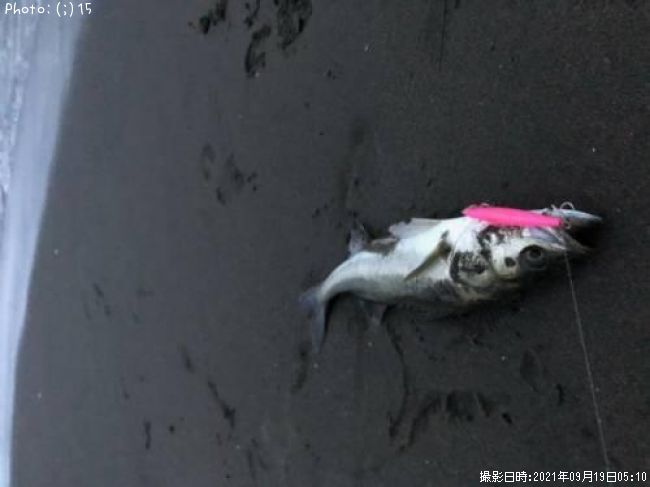 �����Х�