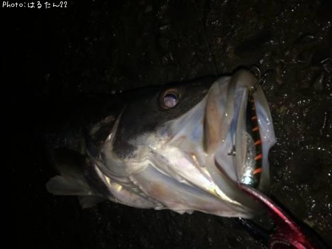 �����Х�