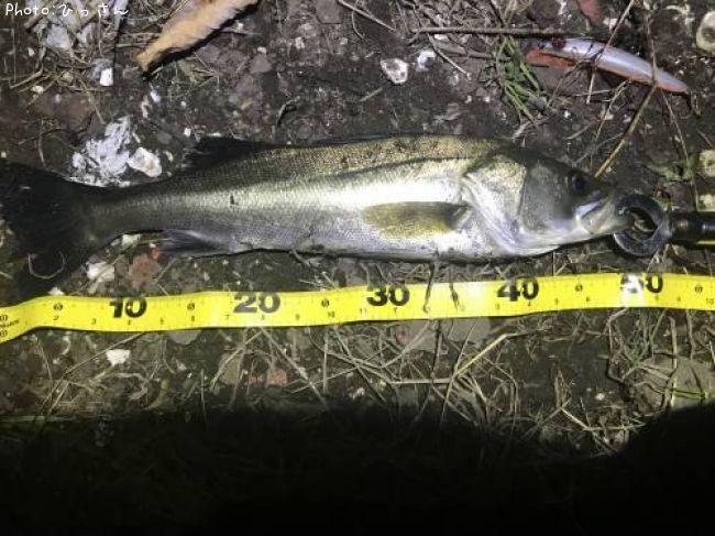 �����Х�