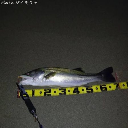 �����Х�