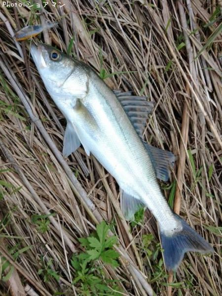 �����Х�