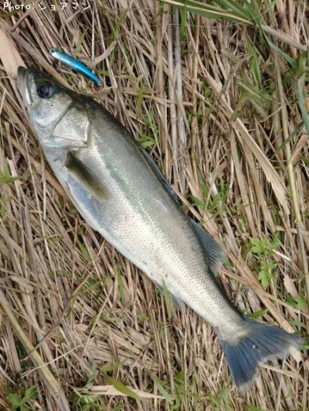 �����Х�