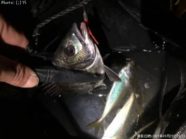 �������������