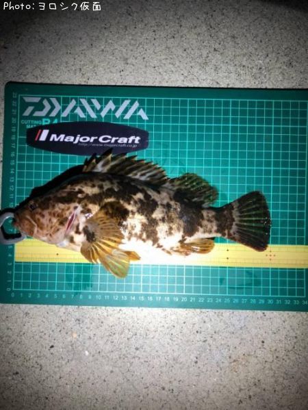 �����Υ���Х�