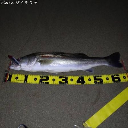 �����Х�