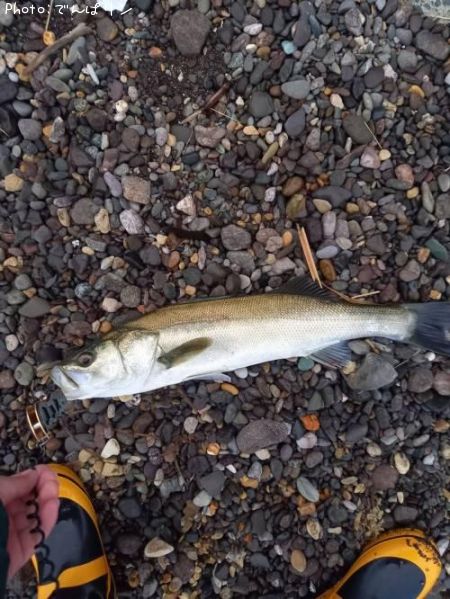 �����Х�