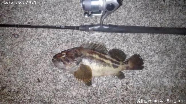 ���ޥ���