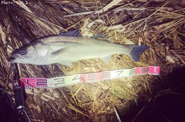 �����Х�