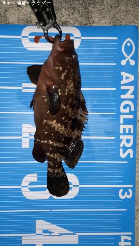 �����ϥ�