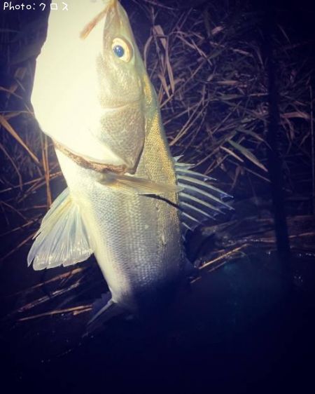 �����Х�