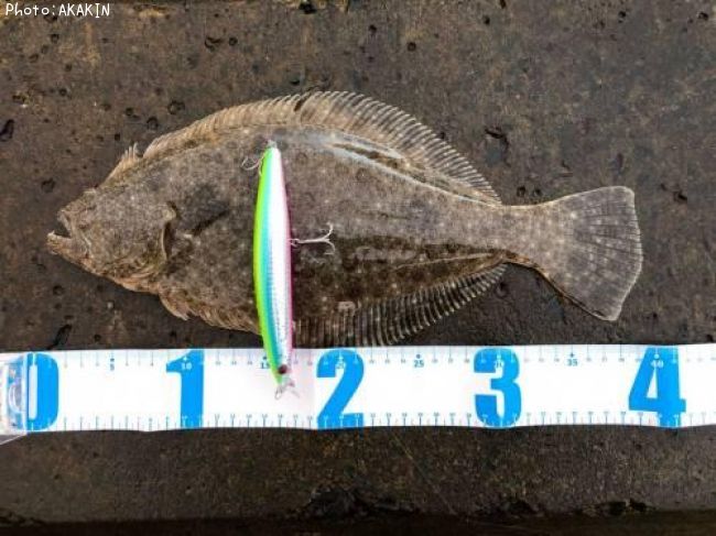 �ҥ��
