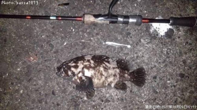 ���������饽��