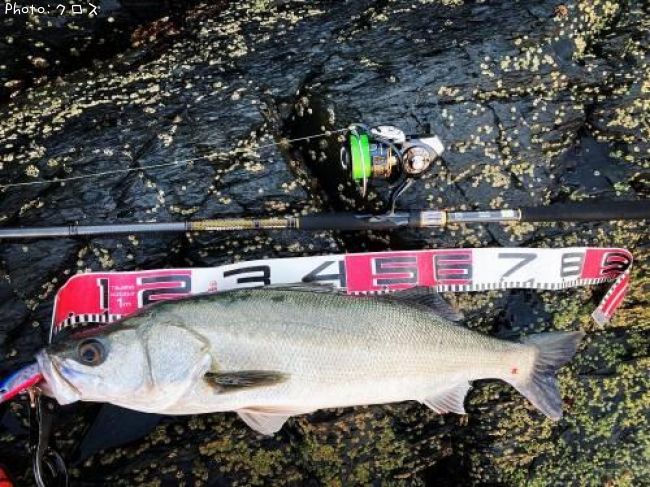 �����Х�