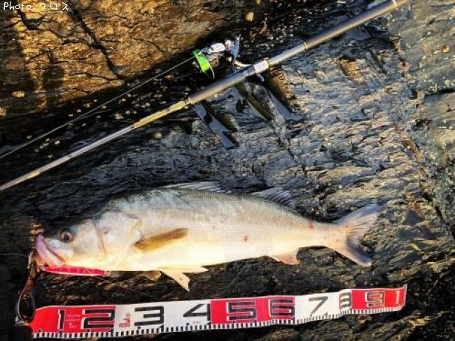 �����Х�