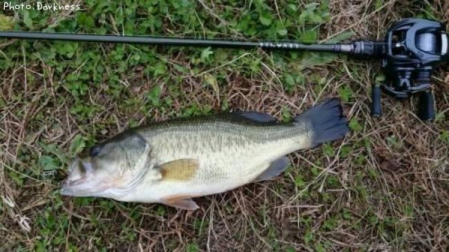 �֥�å��Х�