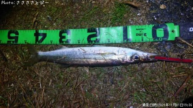 ���ޥ���