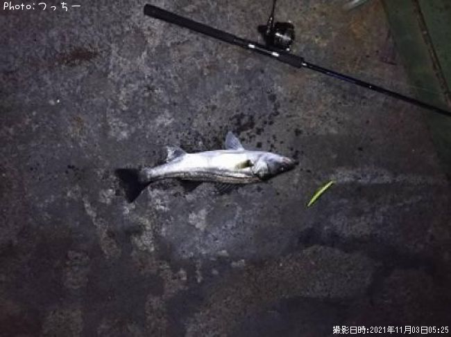 �����Х�