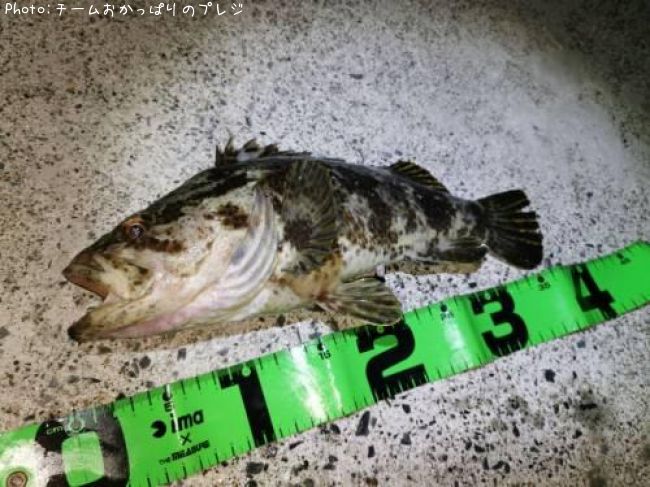 �����Υ���Х�