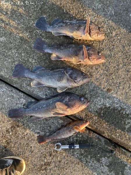 ��������