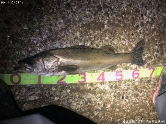 �����Х�