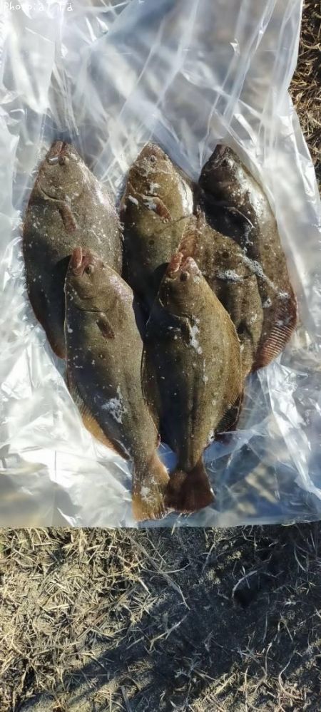 �������ҥ��