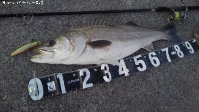 �����Х�