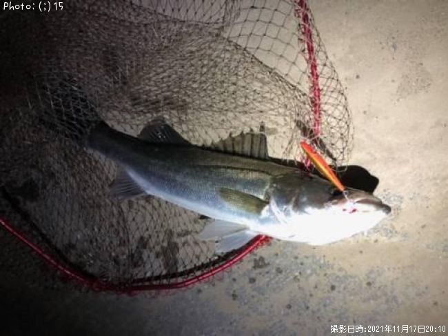 �����Х�