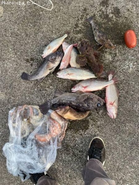 ��ꥭ���פ����