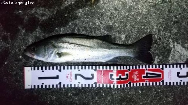 �����Х�