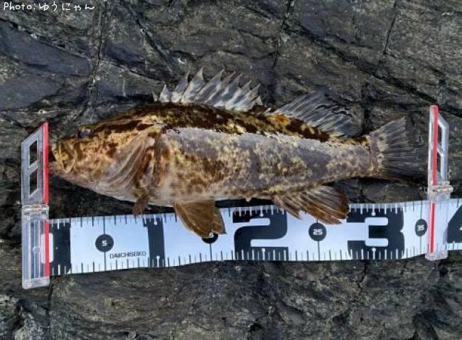 �����Υ���Х�