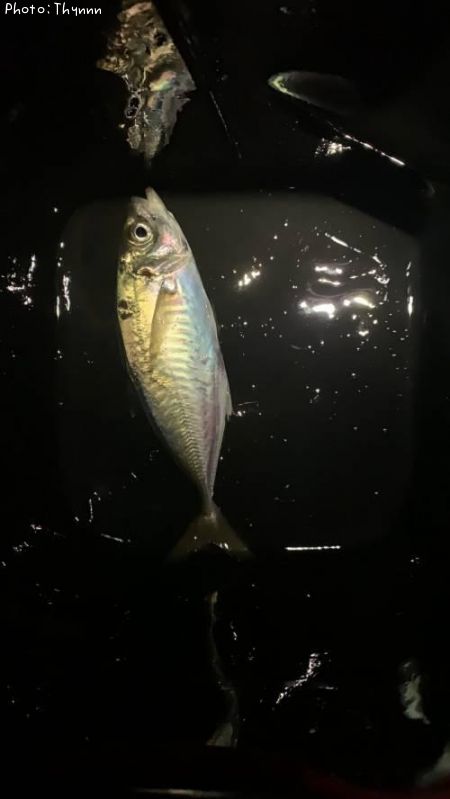 ����
