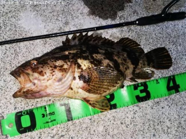 �����Υ���Х�