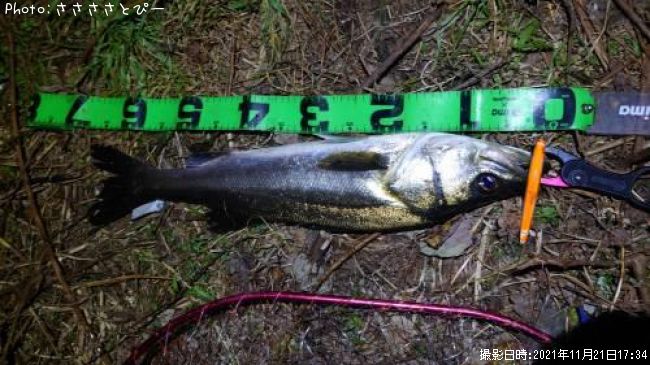 �����Х�������