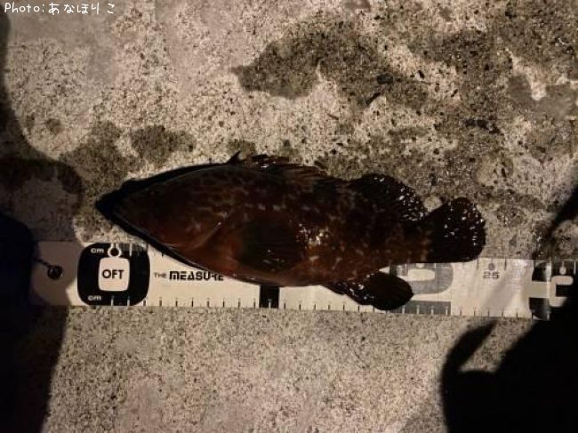 �����ϥ�