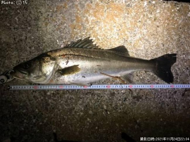 �����Х�