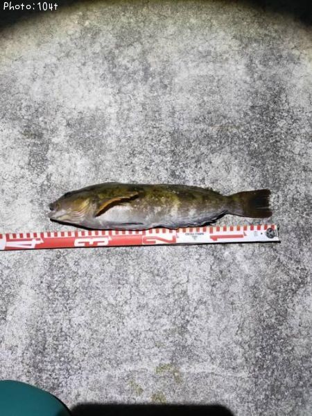 �����ʥ�