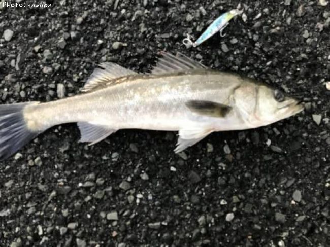 �����Х�