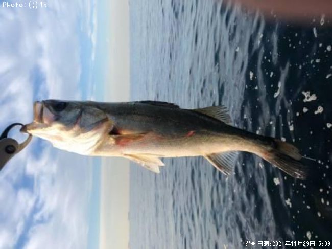 �����Х�