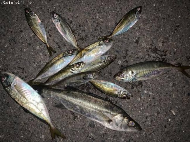 ������������