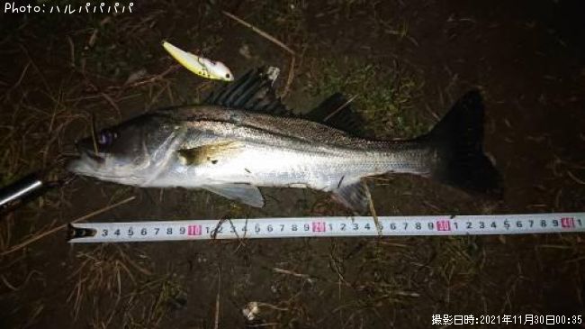 �����Х�����������