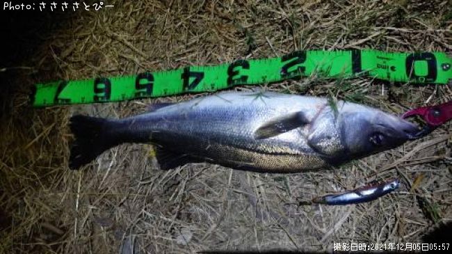 �����Х�������